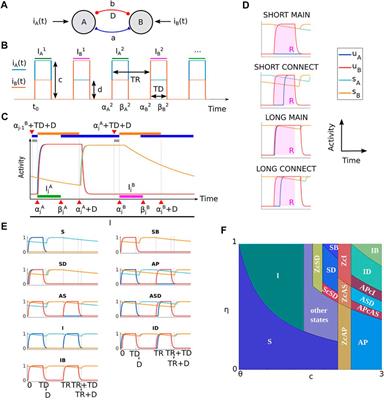 Cascades of Periodic Solutions in a Neural Circuit With Delays and Slow-Fast Dynamics